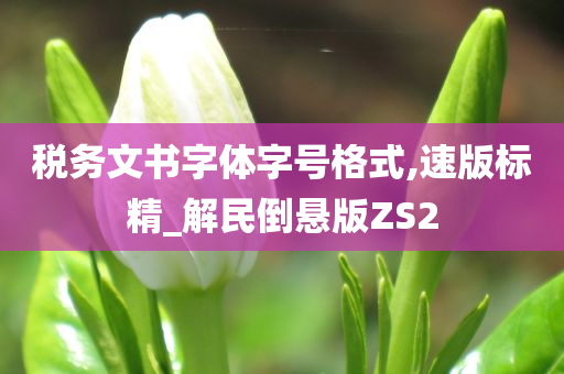 税务文书字体字号格式,速版标精_解民倒悬版ZS2