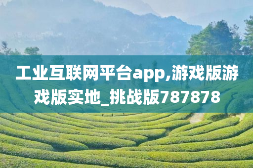 工业互联网平台app,游戏版游戏版实地_挑战版787878