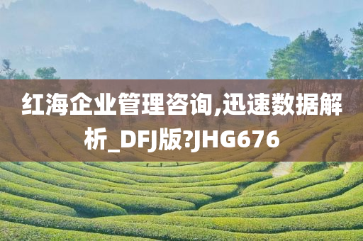 红海企业管理咨询,迅速数据解析_DFJ版?JHG676