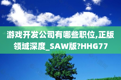 游戏开发公司有哪些职位,正版领域深度_SAW版?HHG77