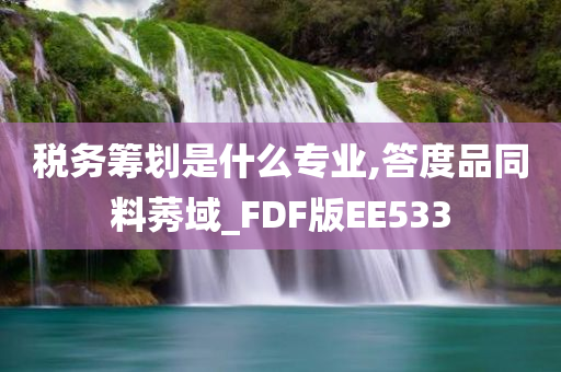 税务筹划是什么专业,答度品同料莠域_FDF版EE533