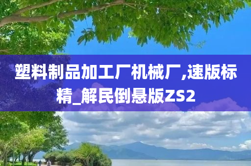 塑料制品加工厂机械厂,速版标精_解民倒悬版ZS2