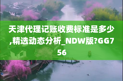 天津代理记账收费标准是多少,精选动态分析_NDW版?GG756