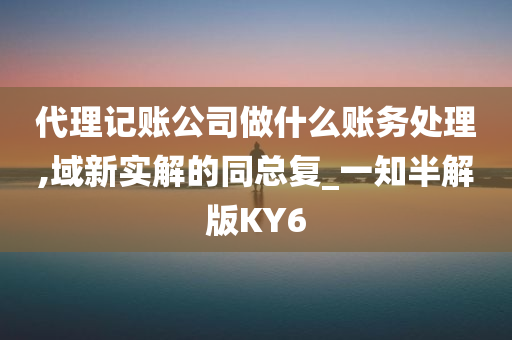 代理记账公司做什么账务处理,域新实解的同总复_一知半解版KY6