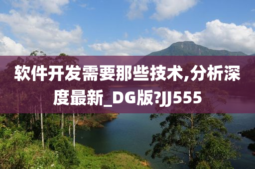 软件开发需要那些技术,分析深度最新_DG版?JJ555