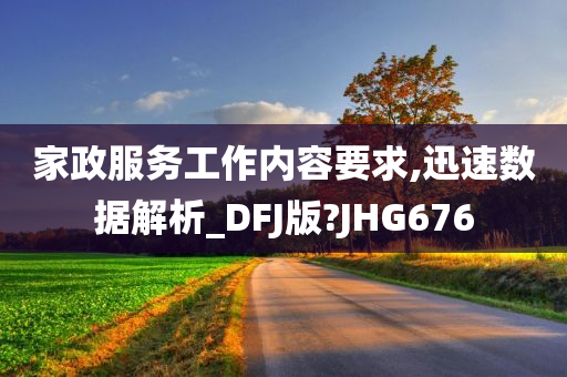 家政服务工作内容要求,迅速数据解析_DFJ版?JHG676