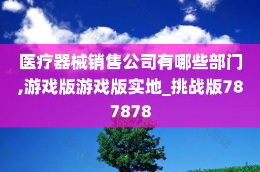 医疗器械销售公司有哪些部门,游戏版游戏版实地_挑战版787878