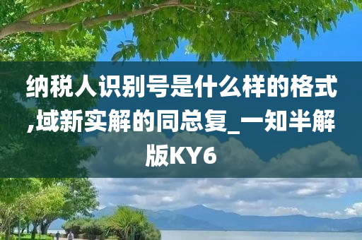 纳税人识别号是什么样的格式,域新实解的同总复_一知半解版KY6