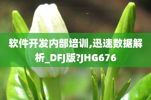 软件开发内部培训,迅速数据解析_DFJ版?JHG676