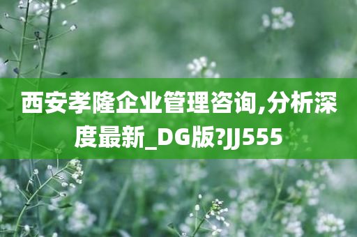 西安孝隆企业管理咨询,分析深度最新_DG版?JJ555