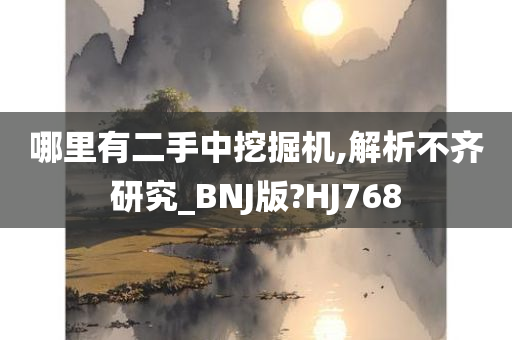 哪里有二手中挖掘机,解析不齐研究_BNJ版?HJ768