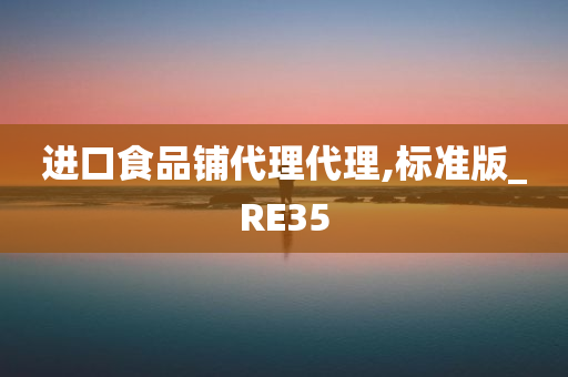 进口食品铺代理代理,标准版_RE35