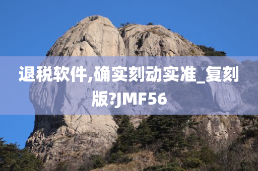 退税软件,确实刻动实准_复刻版?JMF56