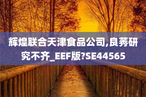 辉煌联合天津食品公司,良莠研究不齐_EEF版?SE44565