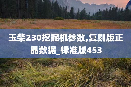 玉柴230挖掘机参数,复刻版正品数据_标准版453