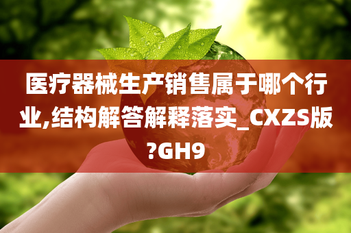 医疗器械生产销售属于哪个行业,结构解答解释落实_CXZS版?GH9