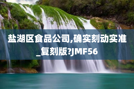 盐湖区食品公司,确实刻动实准_复刻版?JMF56