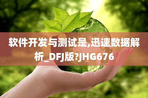 软件开发与测试是,迅速数据解析_DFJ版?JHG676