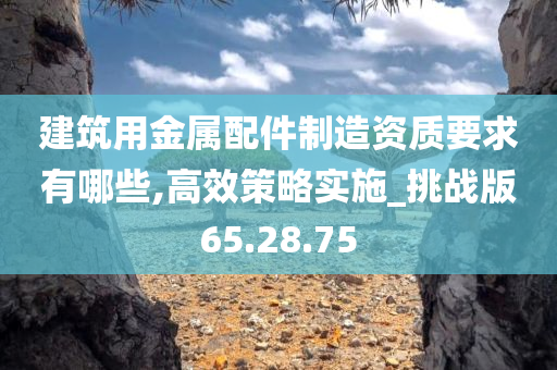 建筑用金属配件制造资质要求有哪些,高效策略实施_挑战版65.28.75