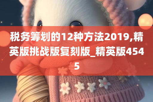 税务筹划的12种方法2019,精英版挑战版复刻版_精英版4545