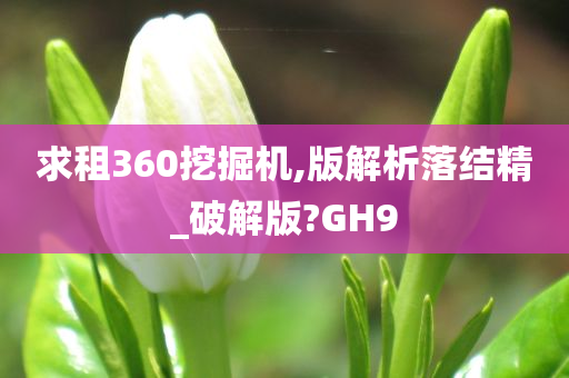 求租360挖掘机,版解析落结精_破解版?GH9