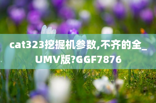 cat323挖掘机参数,不齐的全_UMV版?GGF7876