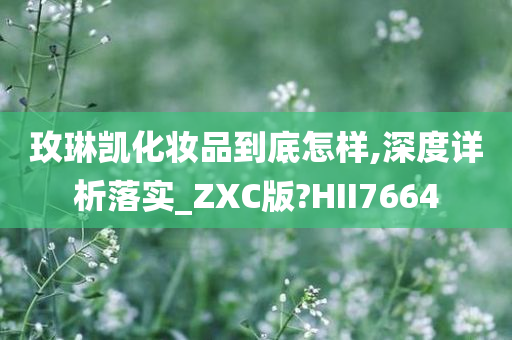 玫琳凯化妆品到底怎样,深度详析落实_ZXC版?HII7664