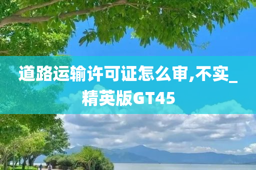 道路运输许可证怎么审,不实_精英版GT45