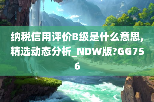 纳税信用评价B级是什么意思,精选动态分析_NDW版?GG756