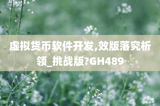 虚拟货币软件开发,效版落究析领_挑战版?GH489