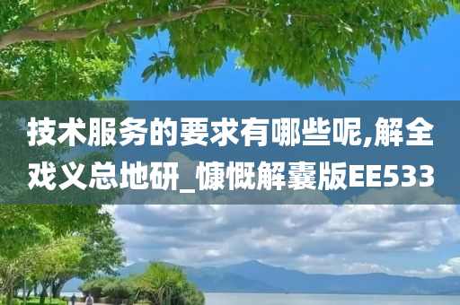 技术服务的要求有哪些呢,解全戏义总地研_慷慨解囊版EE533