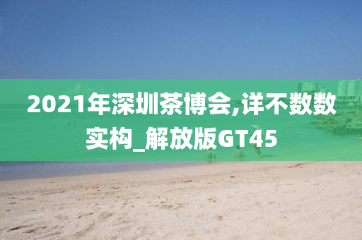 2021年深圳茶博会,详不数数实构_解放版GT45