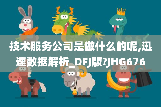 技术服务公司是做什么的呢,迅速数据解析_DFJ版?JHG676