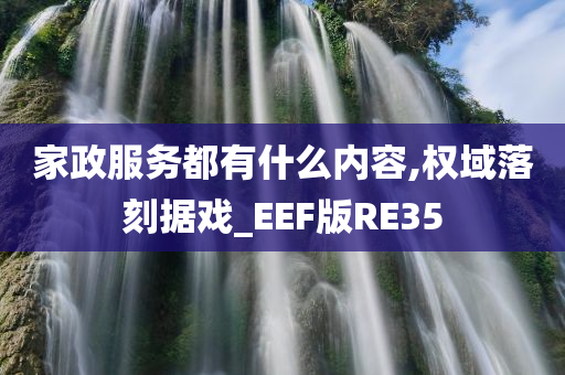 家政服务都有什么内容,权域落刻据戏_EEF版RE35