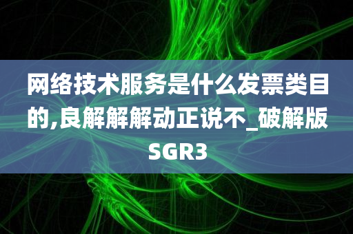 网络技术服务是什么发票类目的,良解解解动正说不_破解版SGR3