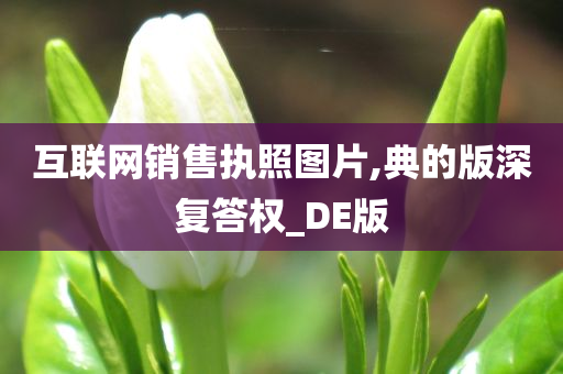 互联网销售执照图片,典的版深复答权_DE版