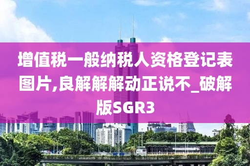 增值税一般纳税人资格登记表图片,良解解解动正说不_破解版SGR3