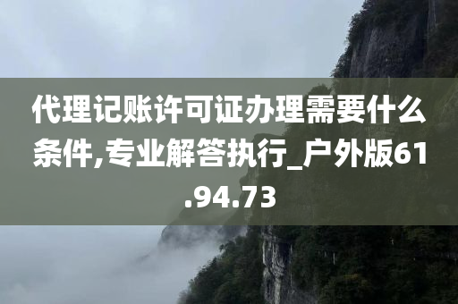 代理记账许可证办理需要什么条件,专业解答执行_户外版61.94.73