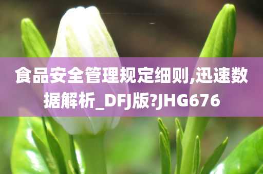 食品安全管理规定细则,迅速数据解析_DFJ版?JHG676