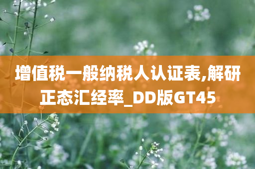 增值税一般纳税人认证表,解研正态汇经率_DD版GT45