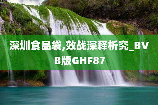 深圳食品袋,效战深释析究_BVB版GHF87