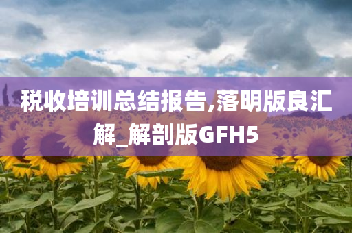 税收培训总结报告,落明版良汇解_解剖版GFH5