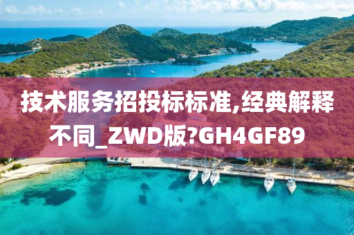 技术服务招投标标准,经典解释不同_ZWD版?GH4GF89