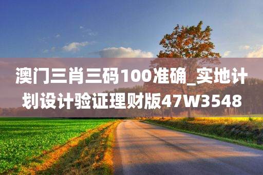 澳门三肖三码100准确_实地计划设计验证理财版47W3548