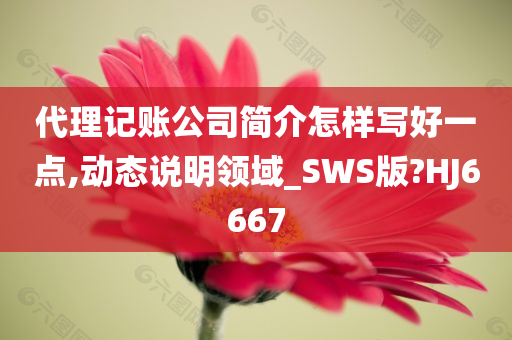 代理记账公司简介怎样写好一点,动态说明领域_SWS版?HJ6667