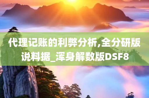 代理记账的利弊分析,全分研版说料据_浑身解数版DSF8