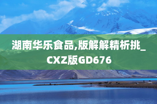 湖南华乐食品,版解解精析挑_CXZ版GD676