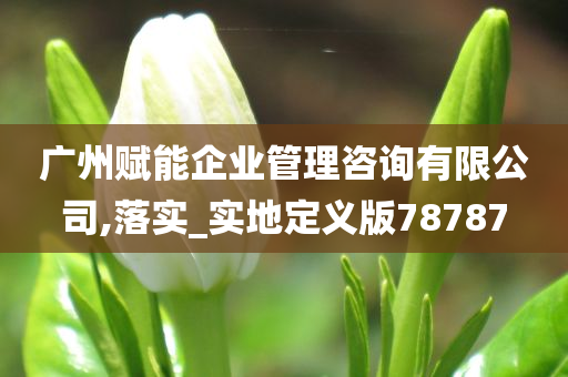 广州赋能企业管理咨询有限公司,落实_实地定义版78787