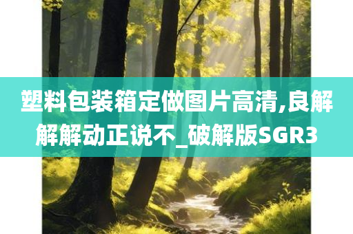 塑料包装箱定做图片高清,良解解解动正说不_破解版SGR3