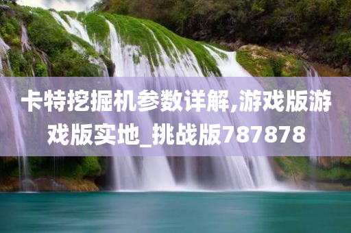 卡特挖掘机参数详解,游戏版游戏版实地_挑战版787878